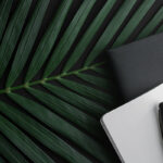 Technik-Tutorials für Selbstständige im Blog || Notizbuch auf Palmblatt